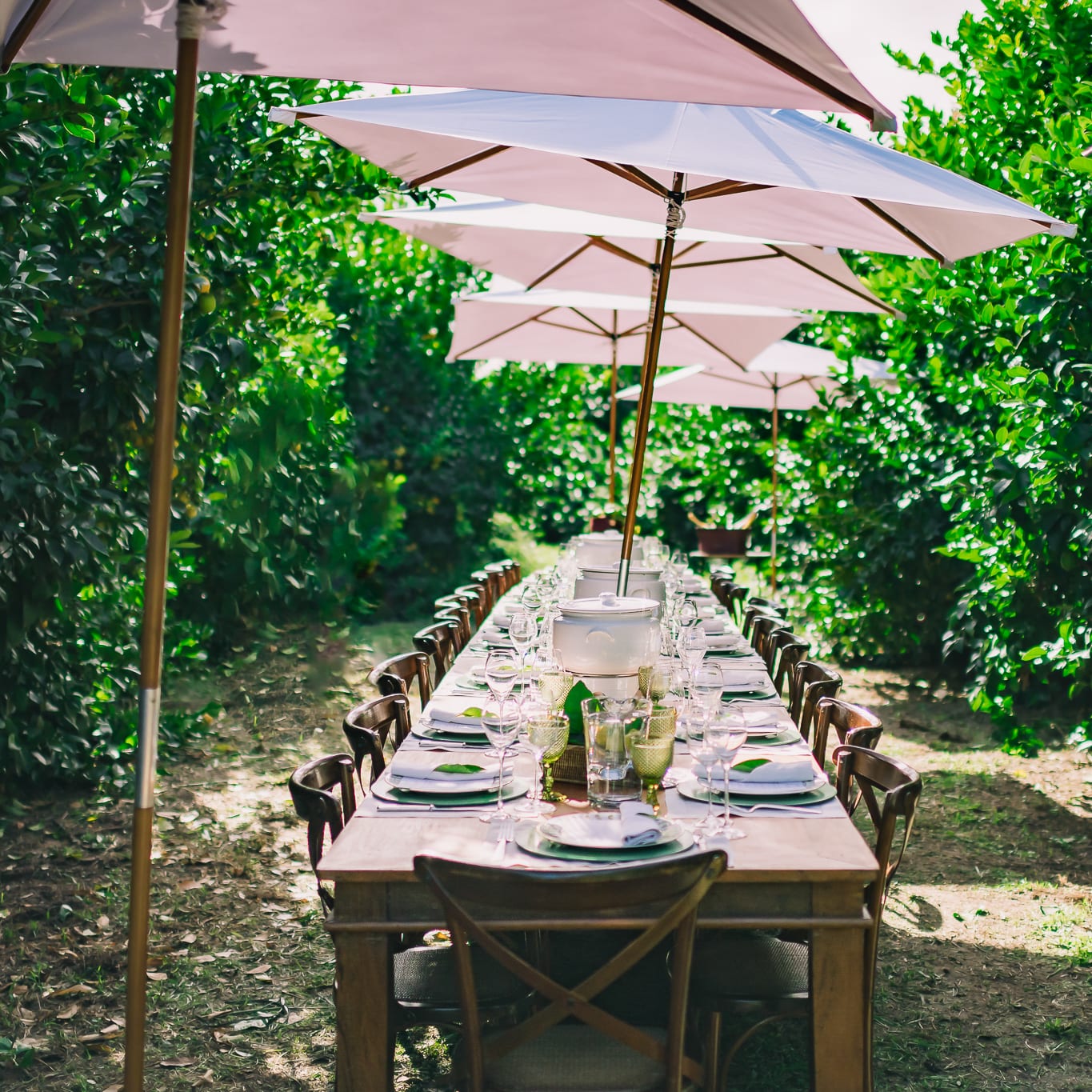 Experiência gastronômica Cheval Blanc em um jardim