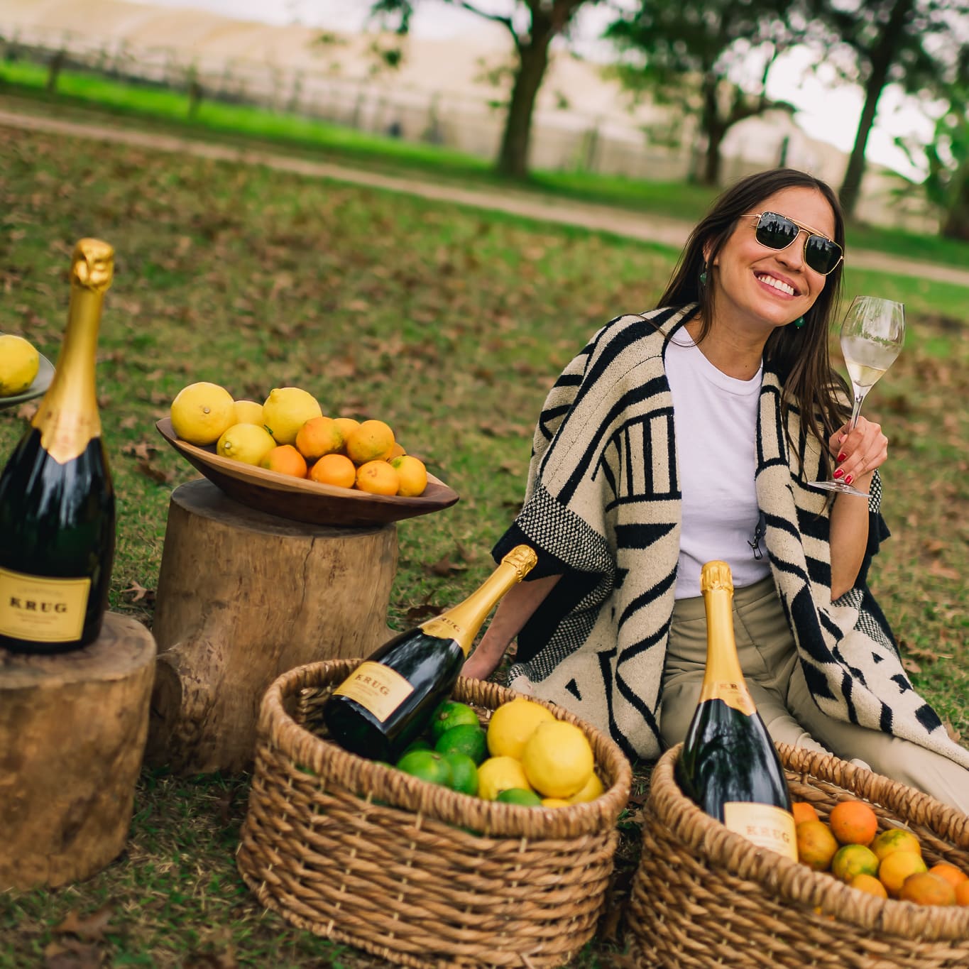 Krug Single Ingredient